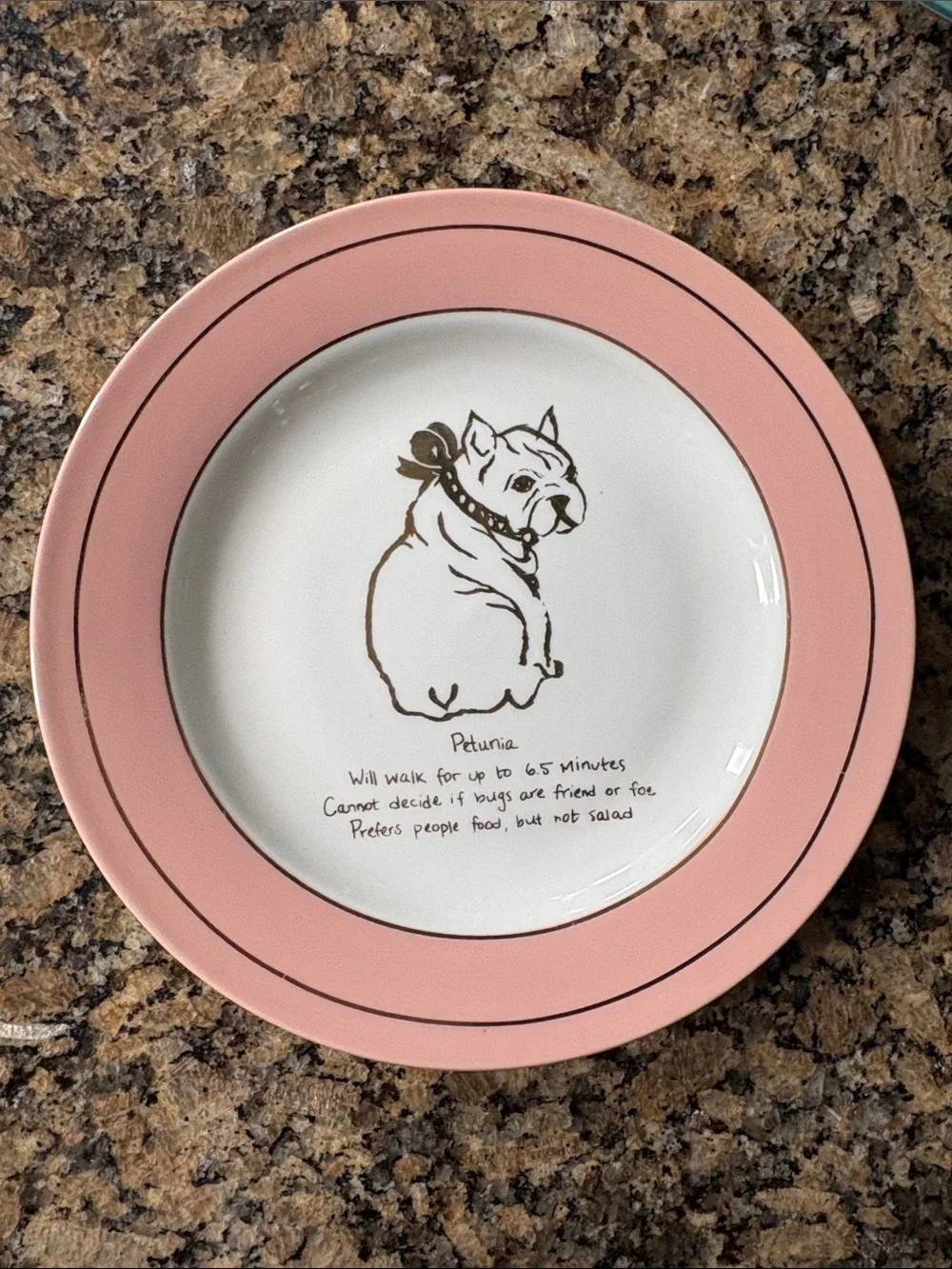 Anthropologie set dog